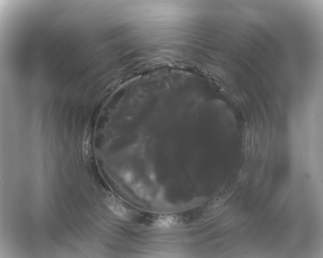 X0000066120177200603131337