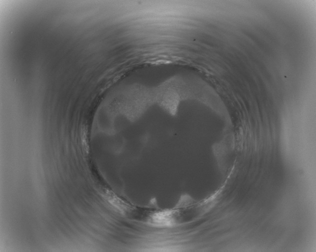 X0000066120178200603131337