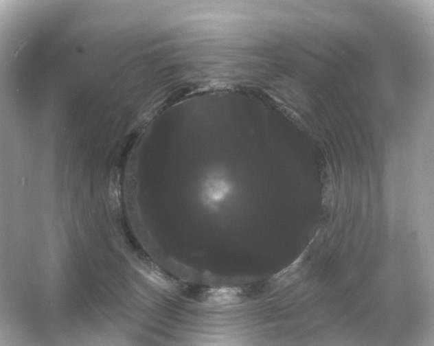 X0000066120179200603131337