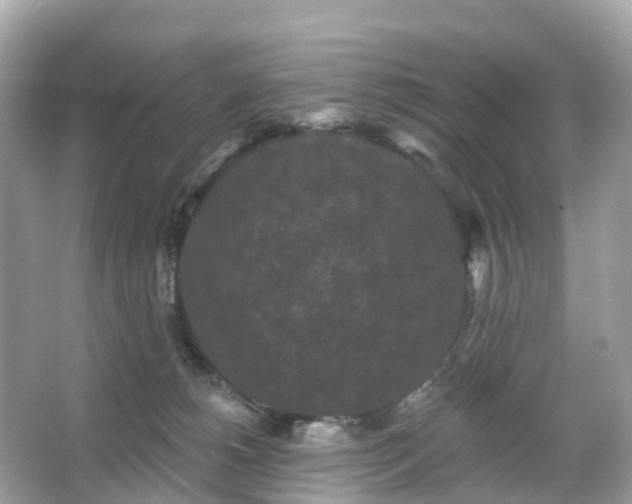 X0000066120180200603131337