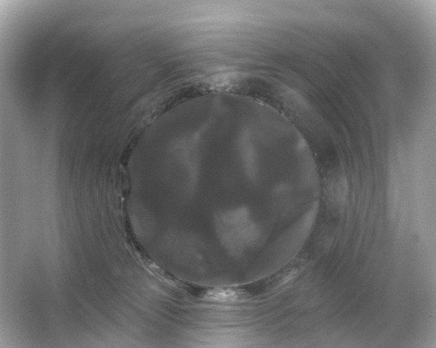 X0000066120181200603131337