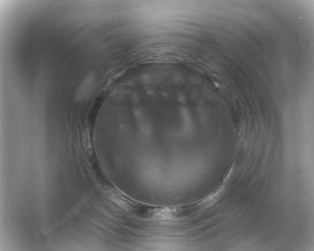 X0000066120182200603131337