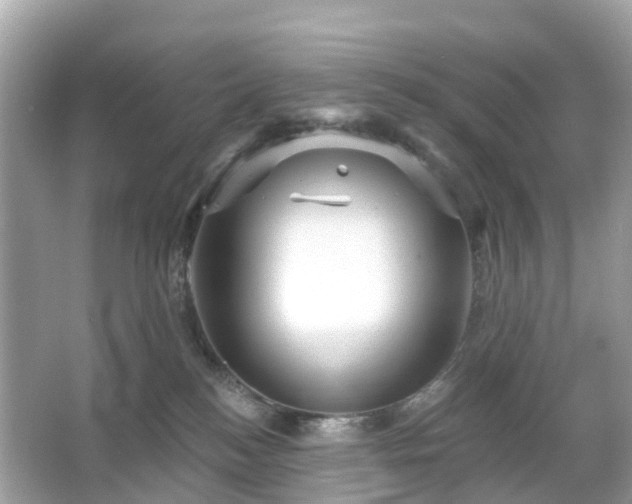 X0000066120184200603131338