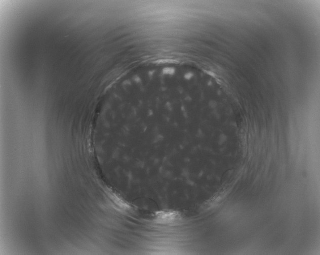 X0000066120185200603131338