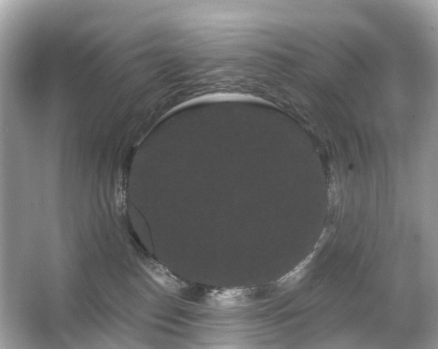 X0000066120186200603131338