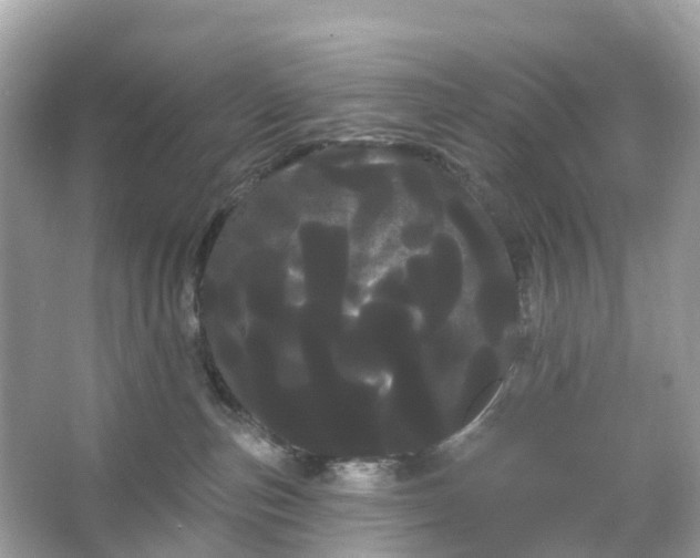 X0000066120187200603131338