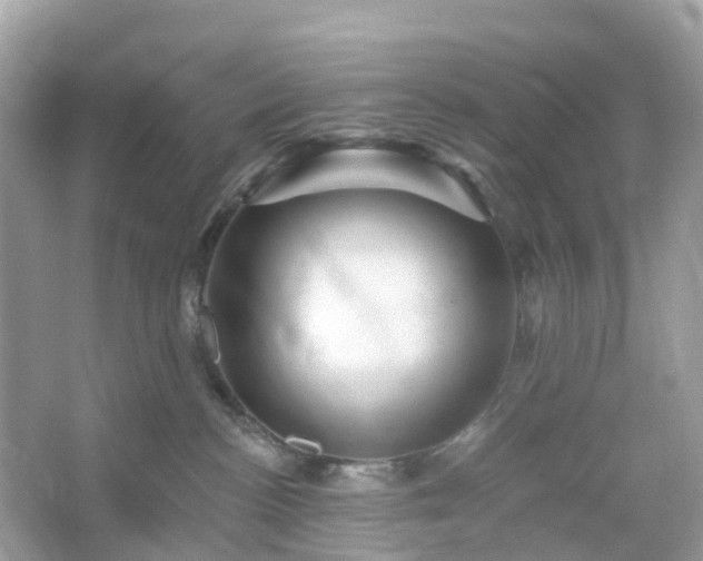 X0000066120188200603131338