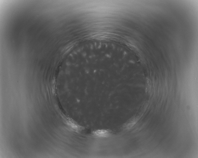 X0000066120189200603131338