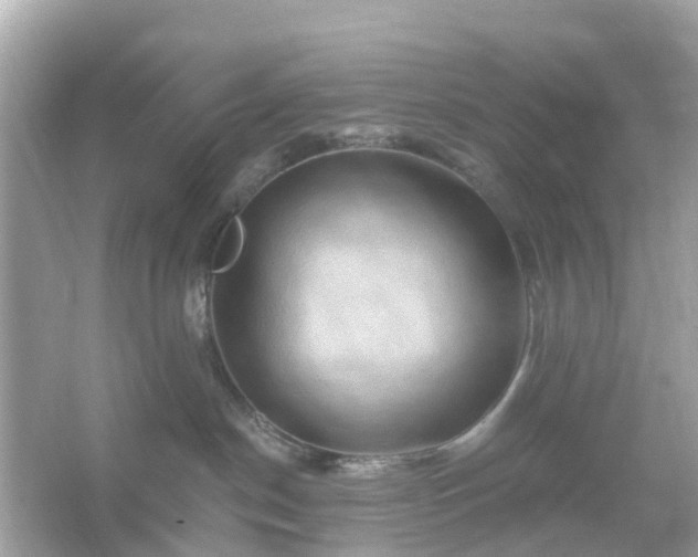 X0000066120190200603131338