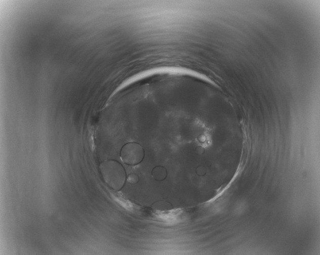 X0000066120191200603131338