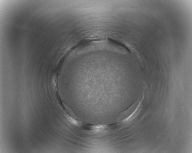 X0000066120192200603131338