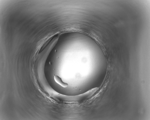 X0000066120193200603131337