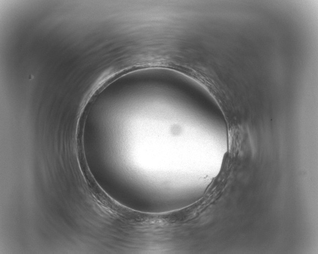 X0000066120195200603131337