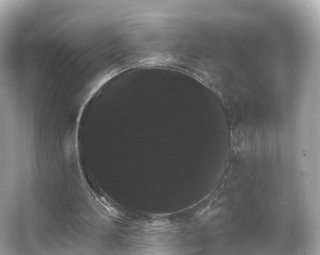 X0000066120196200603131337