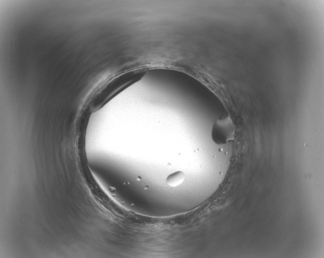 X0000066120197200603131337