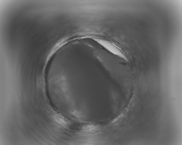 X0000066120198200603131337