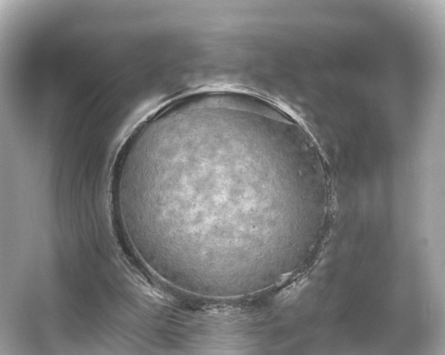 X0000066120199200603131337