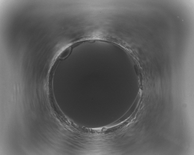 X0000066120200200603131337