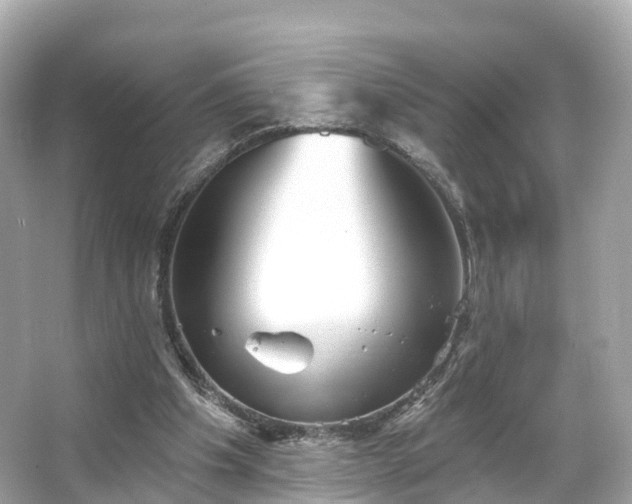 X0000066120201200603131337