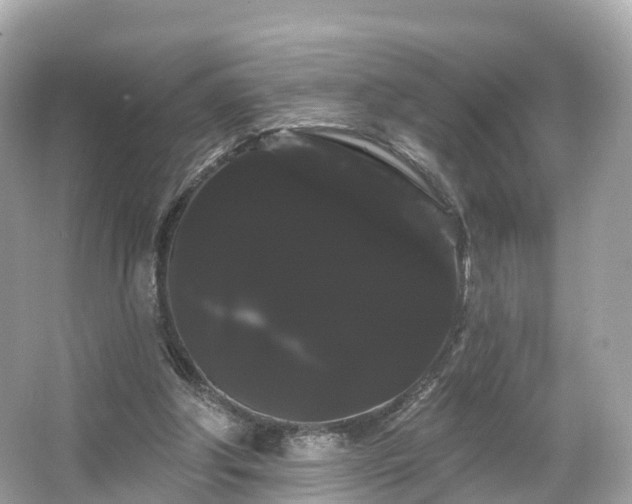 X0000066120202200603131337