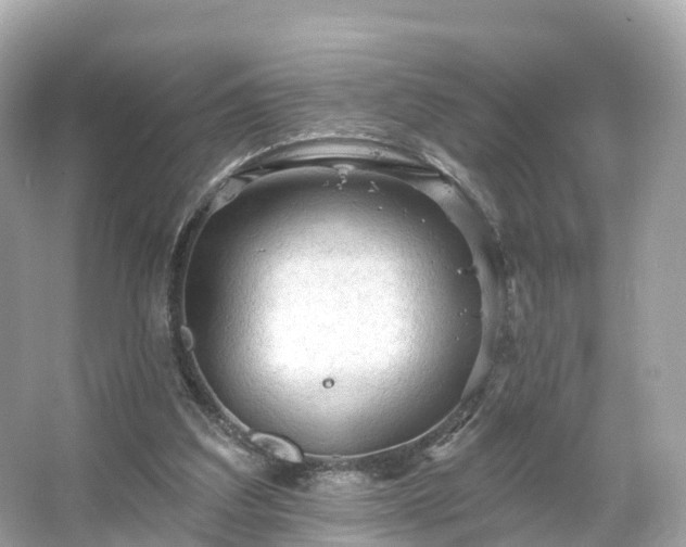 X0000066120203200603131337