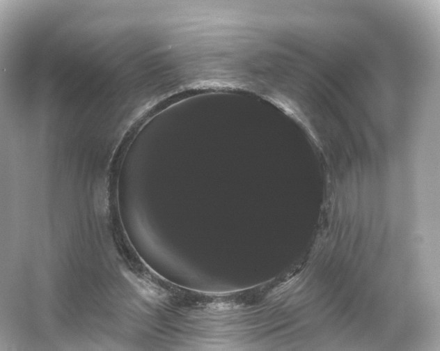 X0000066120204200603131337