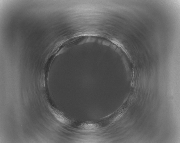 X0000066120205200603131337