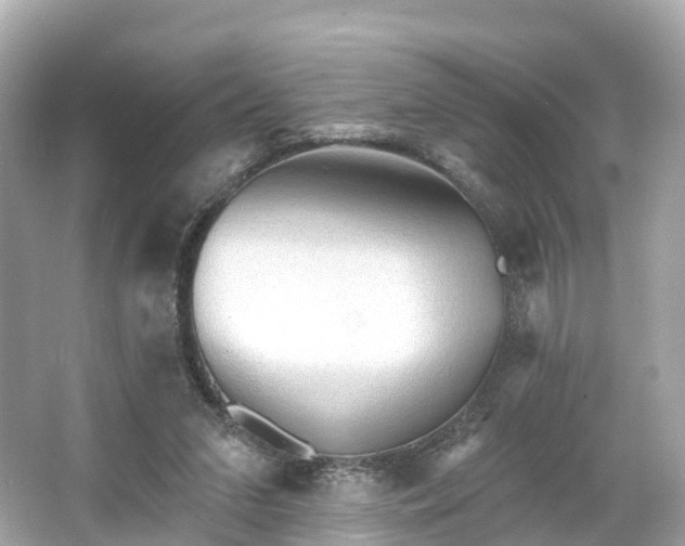 X0000066120207200603131337