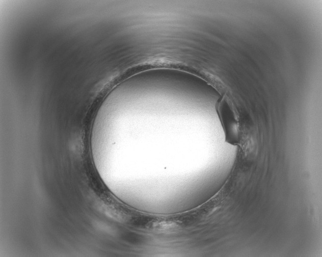 X0000066120208200603131337