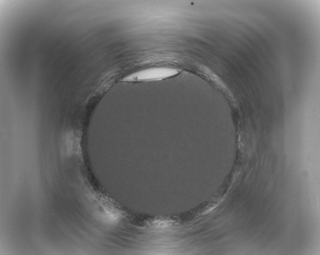 X0000066120209200603131337