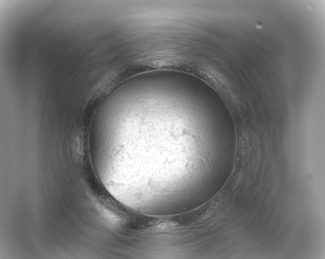 X0000066120210200603131337