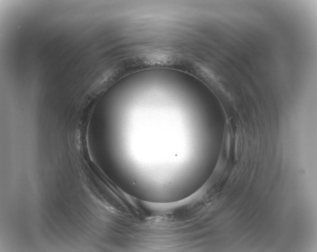 X0000066120211200603131337