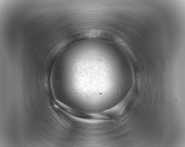 X0000066120212200603131337