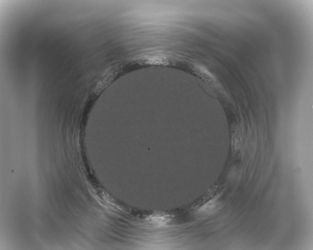 X0000066120213200603131337