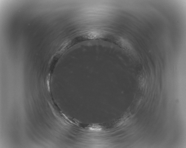 X0000066120214200603131336