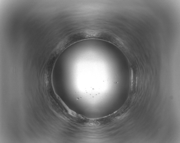 X0000066120215200603131336