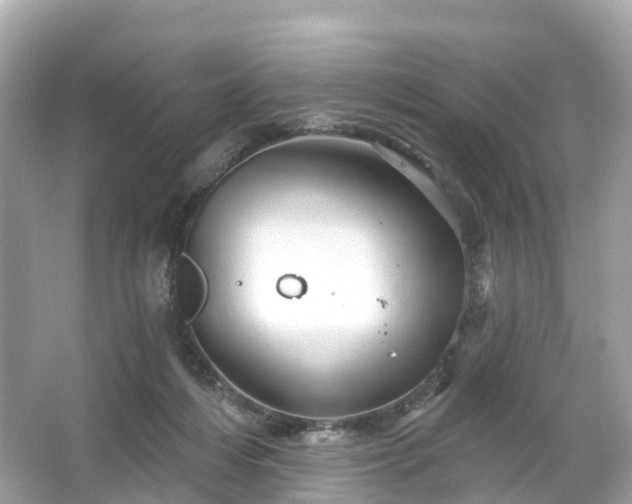 X0000066120216200603131336