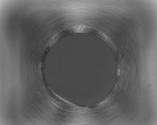 X0000066120217200603131336