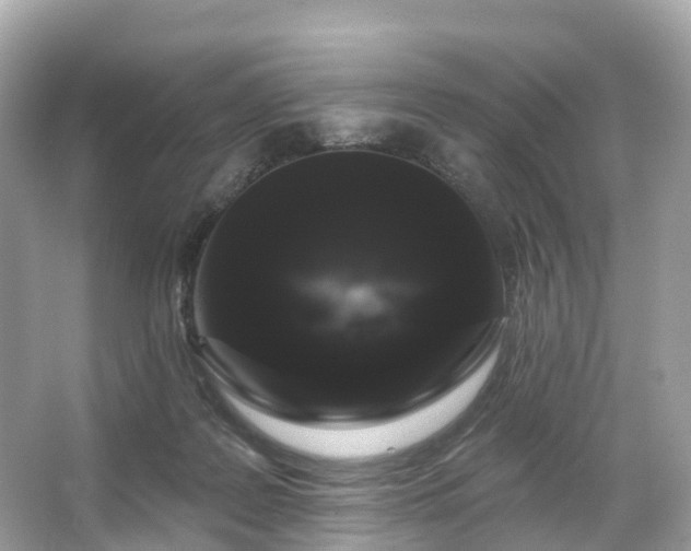 X0000066120219200603131336