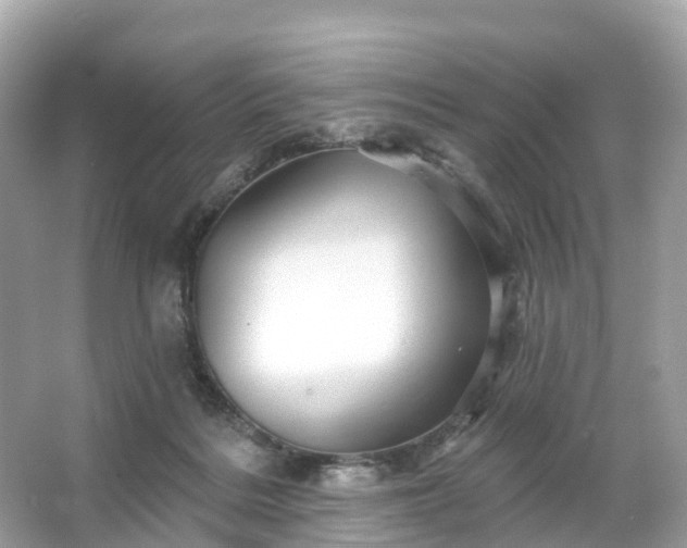 X0000066120220200603131336