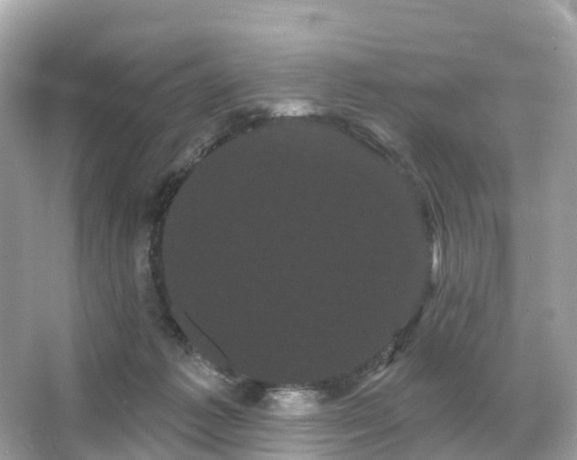 X0000066120221200603131336