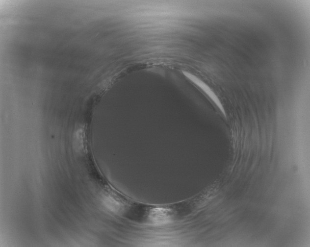 X0000066120222200603131336