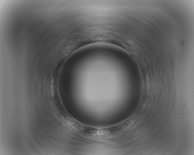 X0000066120223200603131336