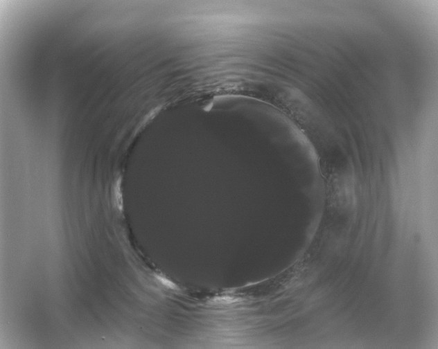 X0000066120224200603131336