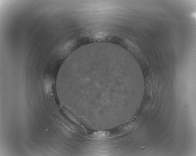 X0000066120225200603131336