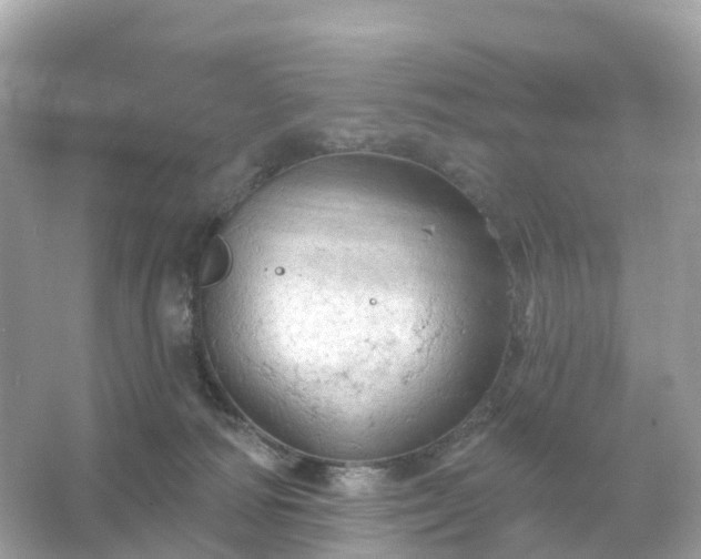 X0000066120226200603131336