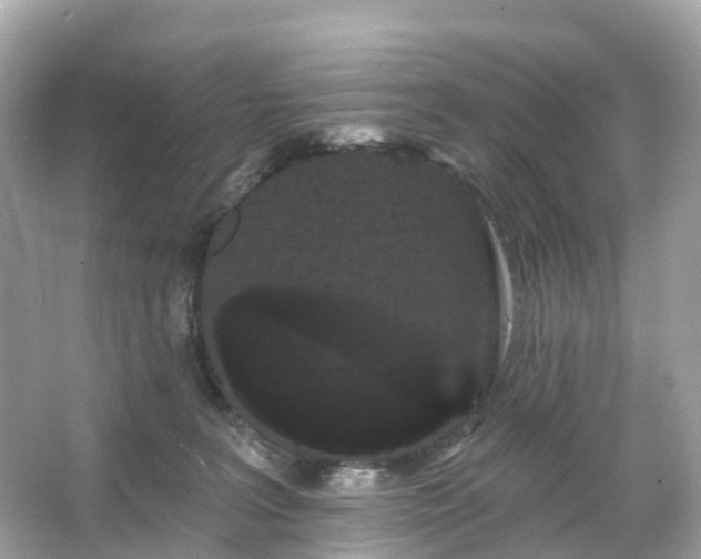 X0000066120227200603131336