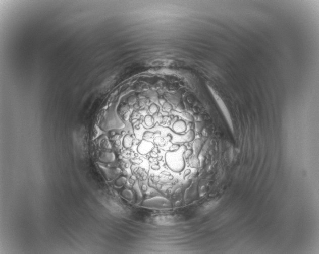 X0000066120228200603131336