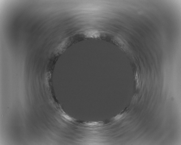 X0000066120229200603131336