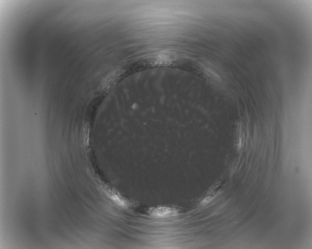 X0000066120230200603131336